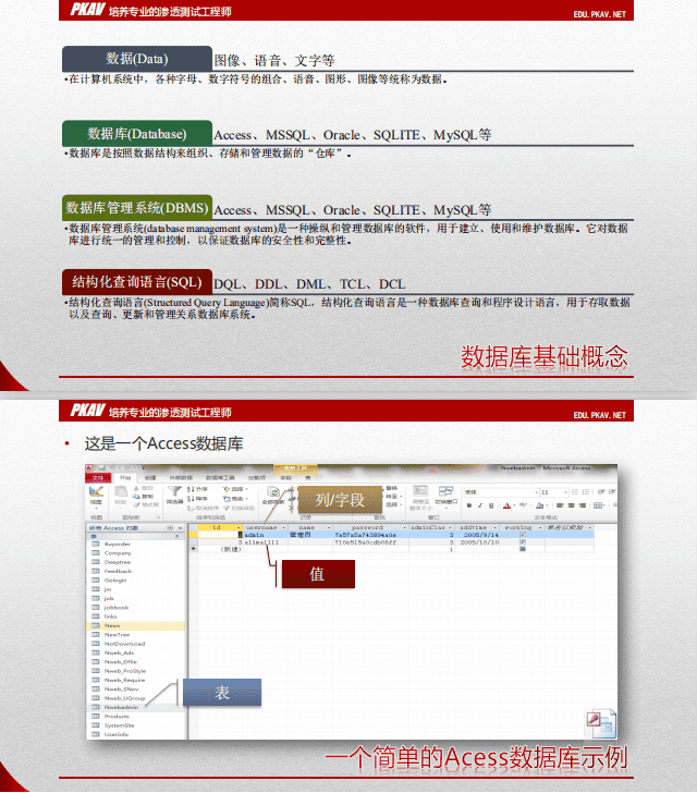 SQL注入基础1 中文PDF_PHP教程