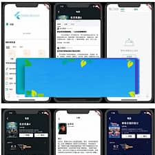 lutter豆瓣客户端源码 Awesome Flutter Project