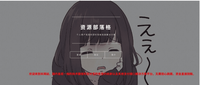 据说价值4K的第三方支付平台源码商业支付源码-ss