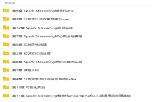 基于Flume+Kafka+Spark Streaming打造企业大数据流处理平台视频教程