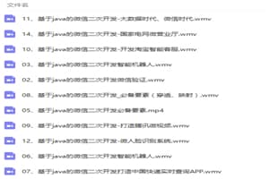 基于Java的微信公众号二次开发视频教程