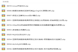 Java高级核心技术全方位深入解析（包含项目实战+就业指导）视频教程