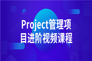 Project管理项目进阶视频课程