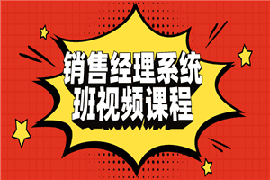 销售经理系统班视频课程