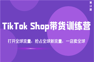 TikTok Shop带货训练营，打开全球流量，抢占全球新流量 一店卖全球(第14期)
