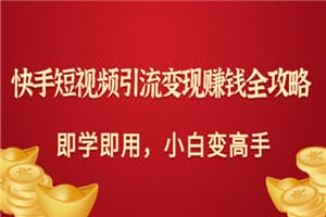 快手短视频引流变现赚钱全攻略：即学即用，小白变高手（价值980元）