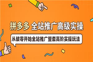 拼多多全站推广高级实操：从破零开始全站推广整套高阶实操玩法