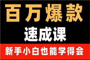 百万爆款速成课：用数据思维做爆款，小白也能从0-1打造百万播放视频
