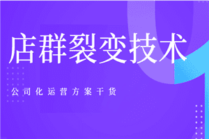 新手淘宝客也能年产200万店群裂变技术以及公司化运营方案