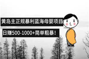 黄岛主正规暴利蓝海母婴项目,日赚500-1000+简单粗暴！