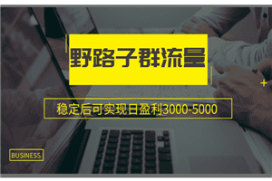 野路子群流量项目：稳定后可实现日盈利3000-5000