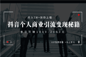 月入3W+扶你上墙，抖音个人商业引流变现秘籍，单日可赚1000-2000元