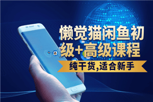 懒觉猫闲鱼初级+高级课程 – 纯干货
