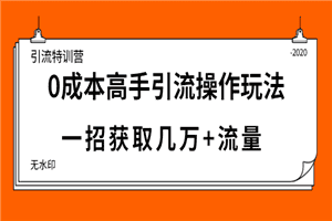 引流特训营：0成本高手引流操作玩法，一招获取几万+流量