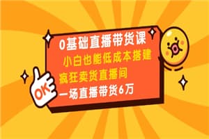 0基础直播带货课：小白也能低成本搭建疯狂卖货直播间：1场直播带货6万