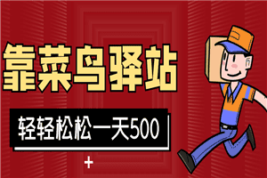 靠菜鸟驿站，轻轻松松一天500+利润