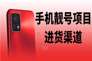 手机靓号几千利润玩法，附送进货渠道