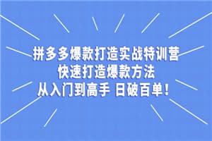 拼多多从入门到高手，爆款实战训练营日破百单