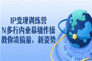 IP变现训练营：N多行内业幕骚作操，教你流搞量