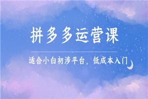 拼多多运营课，适合小白初涉平台，低成本入门 创造销量和利润的方法