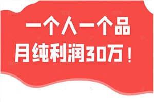 一个人一个品月纯利润30万的蓝海电商经典案例！