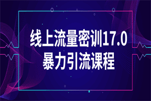 线上流量密训17.0暴力引流课程