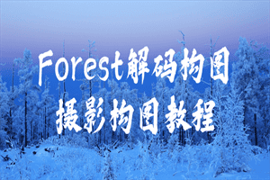Forest解码构图摄影构图教程