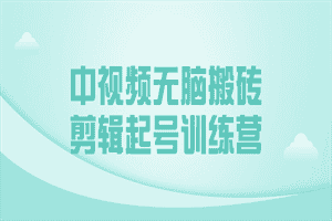 中视频无脑搬砖剪辑起号训练营
