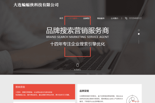 简洁大气且好看的排名seo官网网站源码  html源码