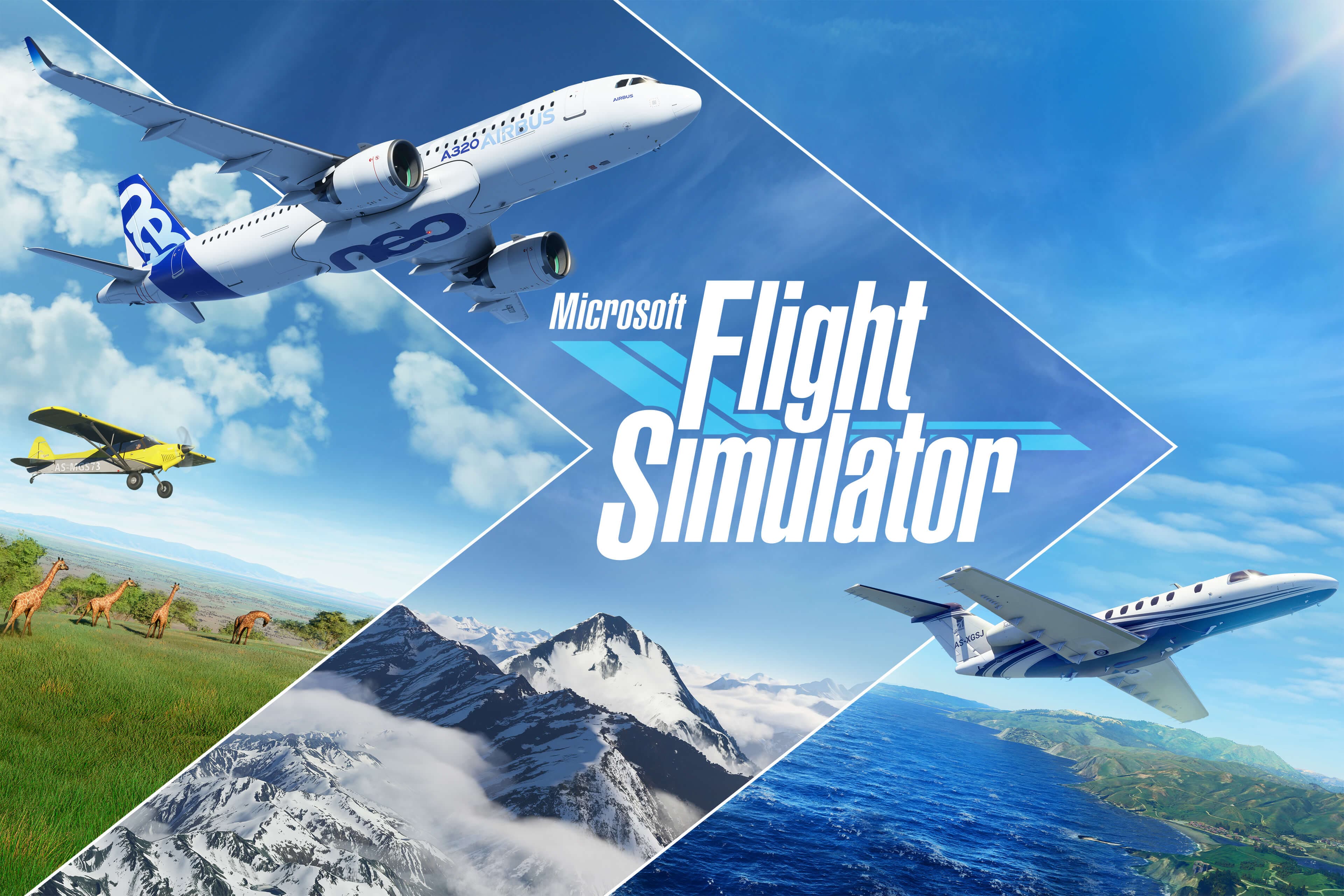 专业模拟飞行11/X-Plane 11